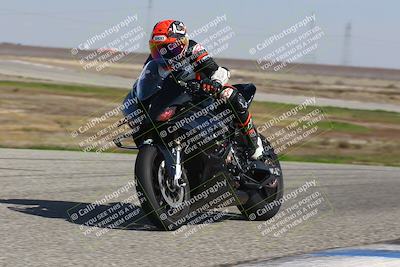 media/Feb-21-2025-Lets Ride (Fri) [[f483f33afd]]/A Group/1220pm (Wheelie BUmp)/